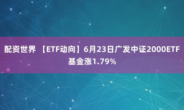 配资世界 【ETF动向】6月23日广发中证2000ETF基金涨1.79%