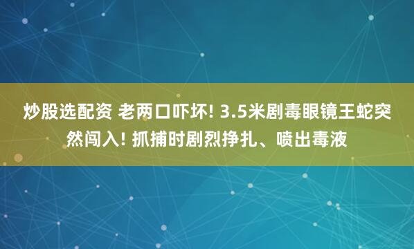 炒股选配资 老两口吓坏! 3.5米剧毒眼镜王蛇突然闯入! 抓捕时剧烈挣扎、喷出毒液