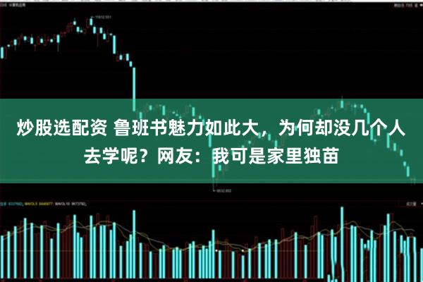 炒股选配资 鲁班书魅力如此大，为何却没几个人去学呢？网友：我可是家里独苗